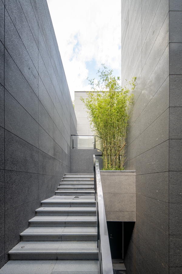 10101_Copyjpg 10101_Copyjpg