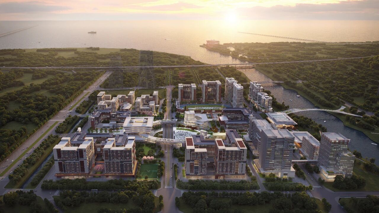 WeChat の写真_2026-01-29_115204_755jpg